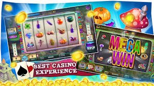 5win bet